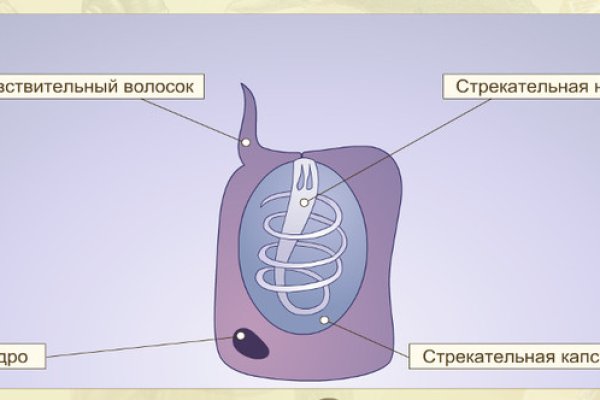 Регистрация на кракен