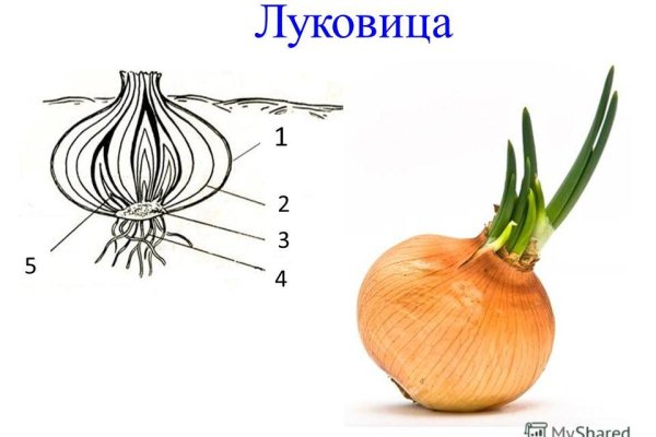 Кракен дарк оригинал ссылка