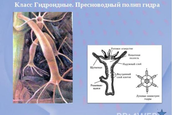 Кракен сайт регистрация