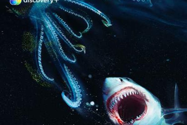 Kraken 12