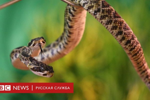 Тор браузер кракен