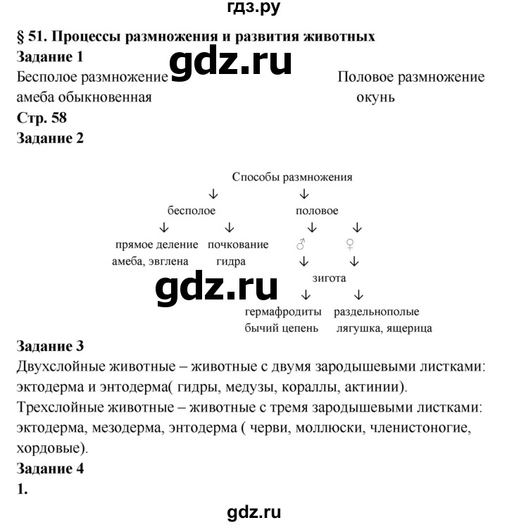 Что такое кракен магазин