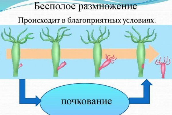 Кракен черный сайт