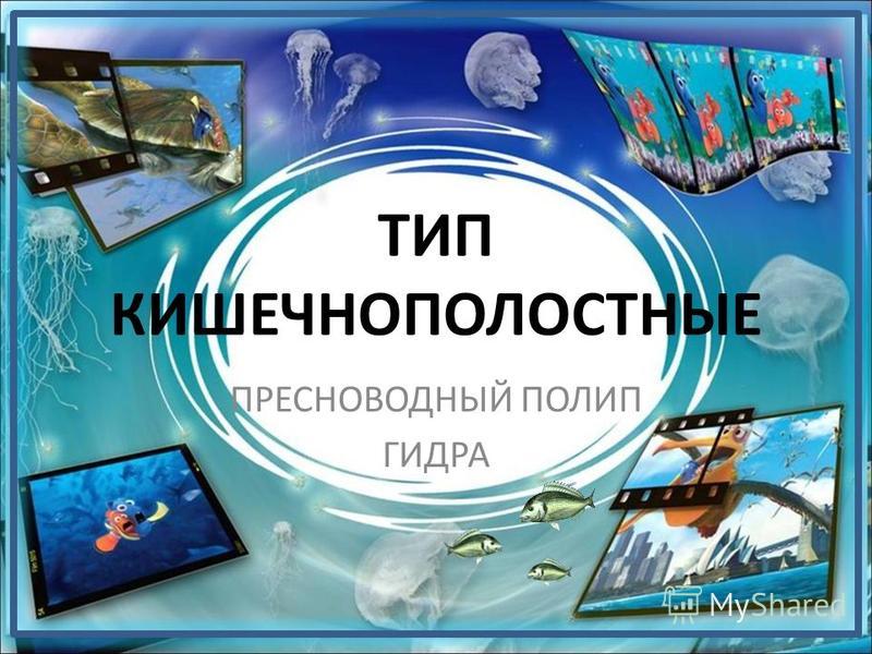 Кракен даркнет регистрация